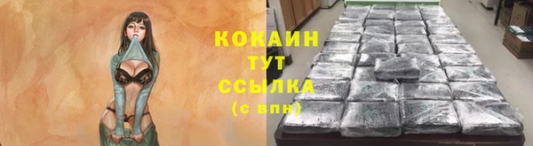 сатива Осинники