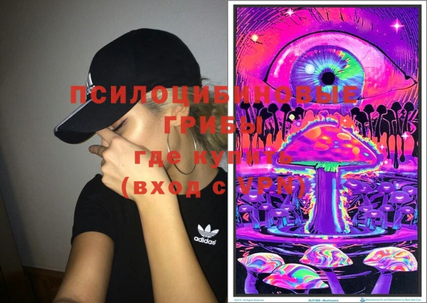 сатива Осинники