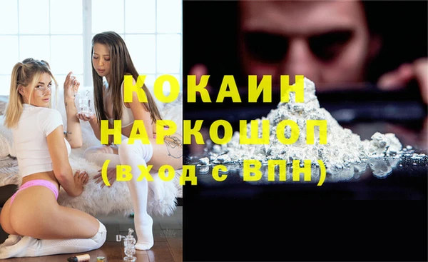сатива Осинники