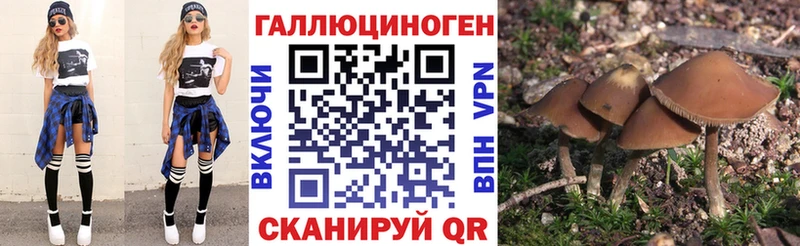 Галлюциногенные грибы GOLDEN TEACHER  наркота  Прохладный 